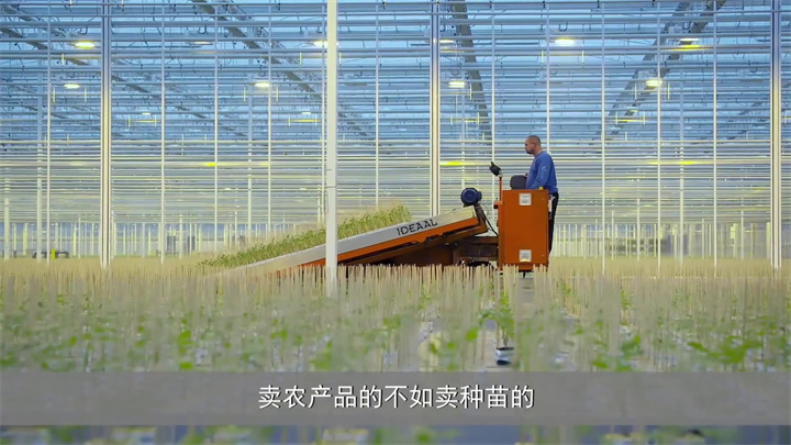 现代农业的植物工厂，上游产业链还有着科技育苗农场