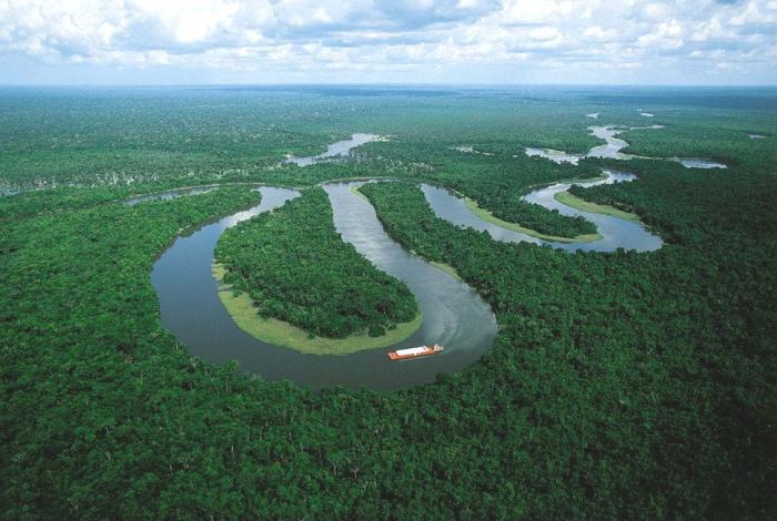 亚马逊河有多少桥，亚马逊河有桥吗